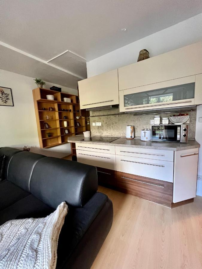 Apartmán Labská 21 ve Špindlerově Mlýně Spindleruv Mlyn Exterior foto